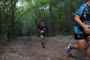 BIB: 3510, 3520
                            <button type="button" onclick="openModal(4101192)" class="btn btn-primary btn-sm float-right btn-popup" data-toggle="modal" data-target=".modal-high-quality">
                        <i class="fas fa-shopping-cart"></i> Add to Cart
                    </button>
                                            <button type="button" onclick="isThisMe(4101192, true)" class="btn btn-success btn-sm float-right btn-popup btn-isme hidden" data-toggle="tooltip" data-placement="bottom" title="นี่คือรูปของคุณใช่ไหม คลิกที่นี่เพื่อเอาเข้าอัลบั้ม">
                        <i class="fas fa-plus"></i> Add to album
                    </button>
                    <button type="button" onclick="isThisMe(4101192, false)" class="btn btn-warning btn-sm float-right btn-popup btn-isnotme hidden">
                        <i class="fas fa-ban"></i> Remove from album
                    </button>